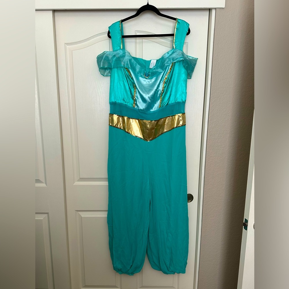 NWOT Disney Women’s Plus size Princess Jasmine Halloween Costume.